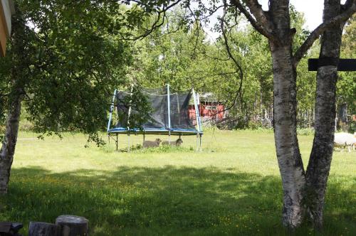 Bustad Hyttetun - image 13