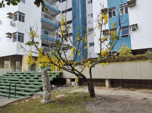 Apartamento amplo a 700 metros da praia