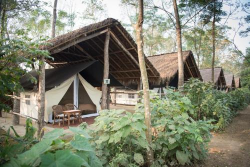 328377832 Tiger Tops Tharu Lodge