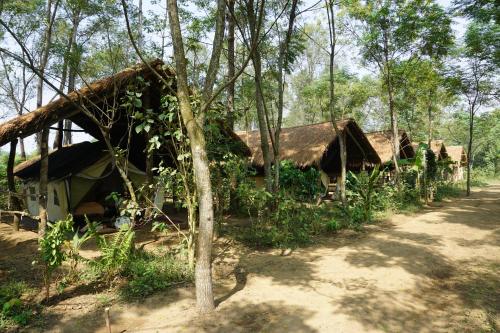 328378559 Tiger Tops Tharu Lodge