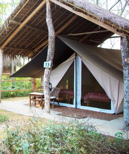 328378576 Tiger Tops Tharu Lodge