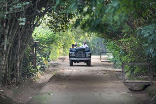328379743 Tiger Tops Tharu Lodge