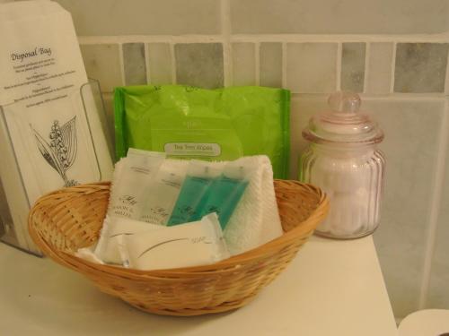 Old Castle Farm Guest House - image 11