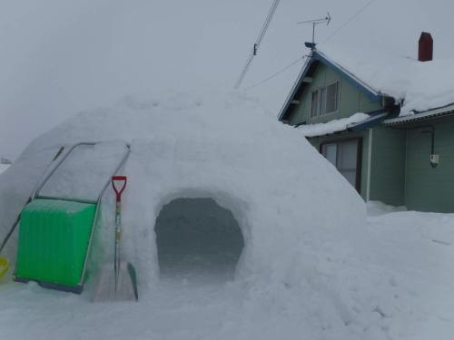 愛犬と家族みんなでのんびり羽休めv古民家民泊OMOTENASHI LODGe 悠遊