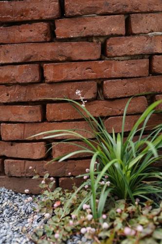 Bloomin' Moon hostel & cafe, Chiang Mai Old Town - 정원