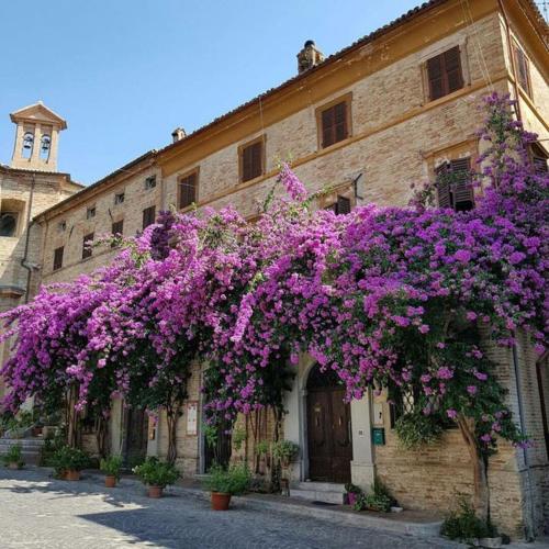 ATTICO SULLA BOUGANVILLE (Albergo diffuso)