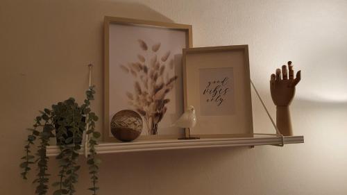  Glicine & more Forlì in Forlì