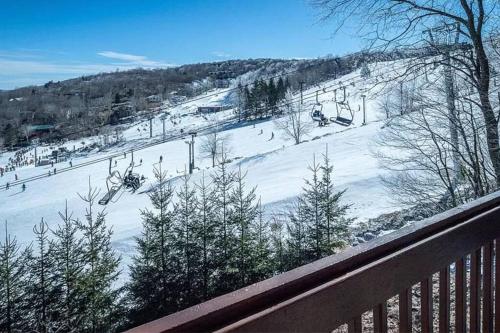 B&B Beech Mountain - SKI IN/OUT Beech Mtn Views 5 BR House w/ Hot Tub - Bed and Breakfast Beech Mountain