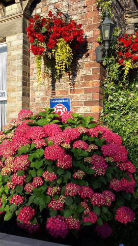 Barbican House - image 6