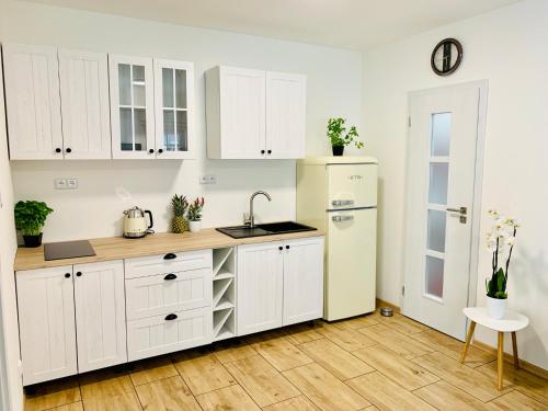廚房, Apartmány Jetřichovice - České Švýcarsko (Apartmany Jetrichovice - Ceske Svycarsko) in 耶特里確維察烏德奇納