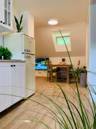 廚房, Apartmány Jetřichovice - České Švýcarsko (Apartmany Jetrichovice - Ceske Svycarsko) in 耶特里確維察烏德奇納