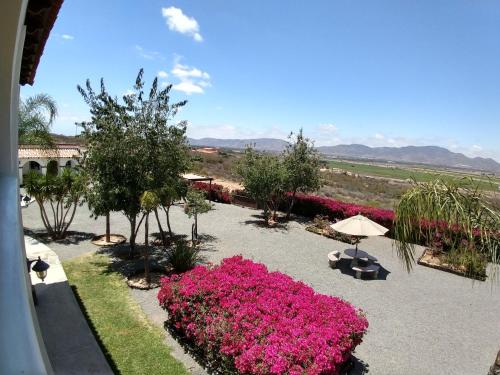 Hacienda Guadalupe Hotel 2
