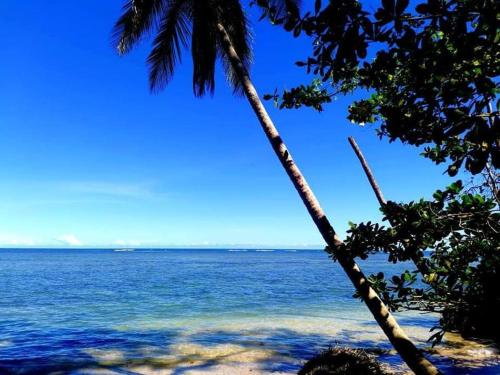 Manta Ray's Cahuita Apart.