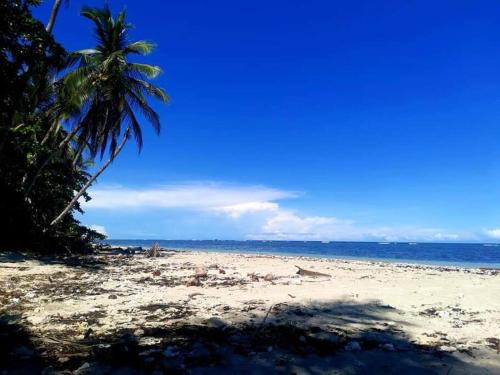Manta Ray's Cahuita Apart. in Cahuita