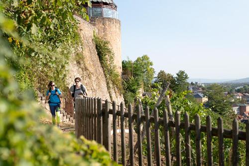 Landhotel Kauzenberg