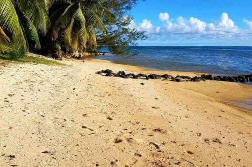 SUNSETVIEW, studio, private beach, amazing swim & sunset Moorea