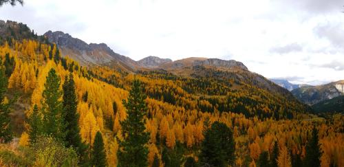 Chalet La Ciaseta Chalet La Ciaseta