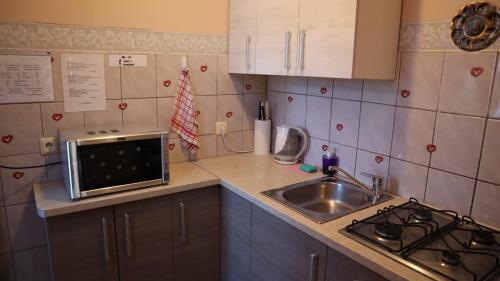 Excelsior Guesthouse - image 13