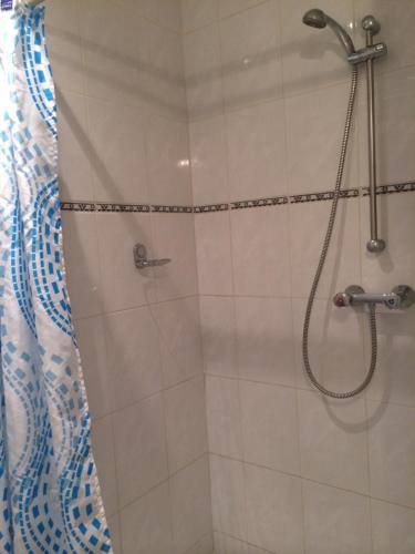 Hotel de Blauwe Vogel - image 8