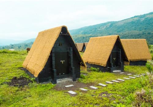 VOYE HOMES Shining Cave Igloo Cave