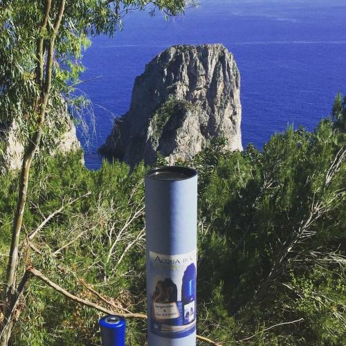 Villacore Capri, Capri (Foto 7)