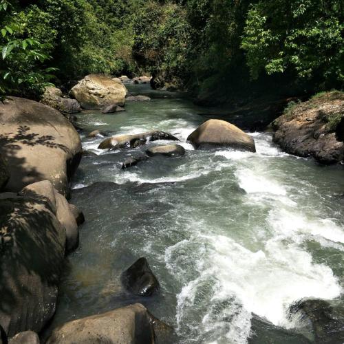 Khao Sok River & Jungle Resort