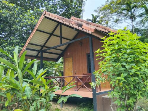 Khao Sok River & Jungle Resort - 편의 시설/서비스