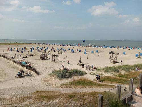 Nordsee-Brise