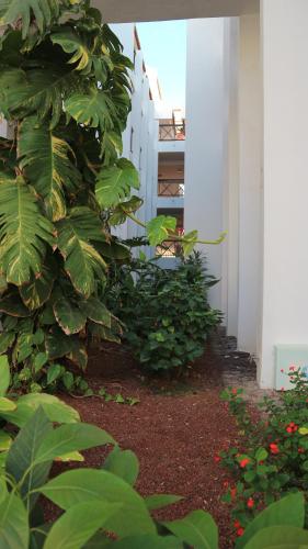 Apartamento en Tenerife Sur, Parque Santiago 2