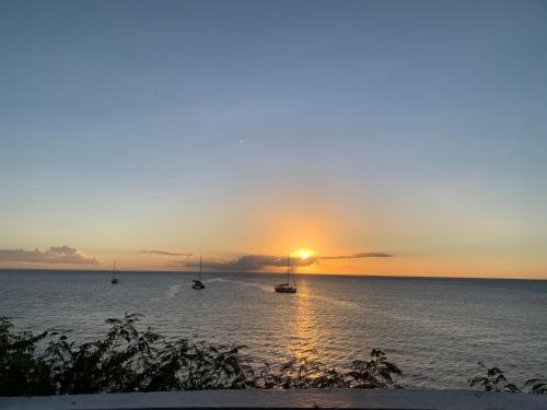 Vista, Gite Oiseau du Paradis in Riviere-Pilote