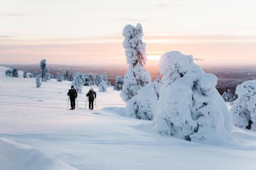 Lapland Hotels Sirkantähti