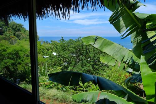 Colibri Lodge