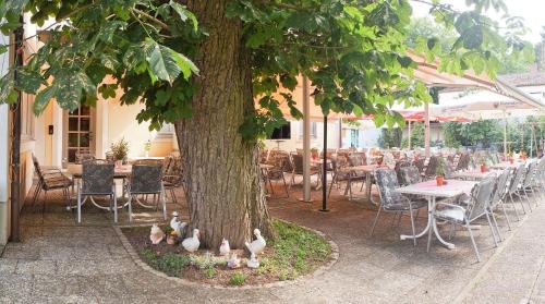 Restaurant, Hotel - Restaurant Kastanienhof Lauingen in Lauingen (Donau)