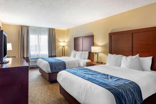 Comfort Inn Rockford near I-90 and I-39 - image 9