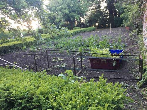 Swinton Manse & Gardens in Leitholm