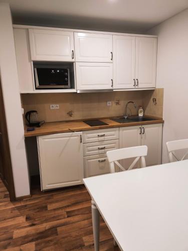 keuken, Apartmany pod sjezdovkou in Cenkovice