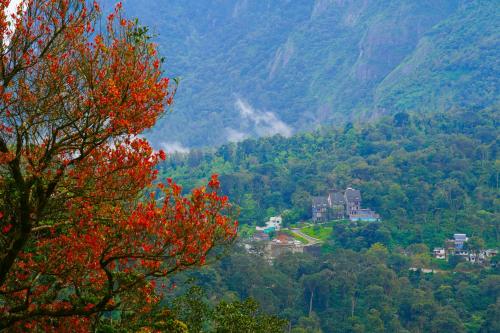 Shola Crown Resort - Munnar