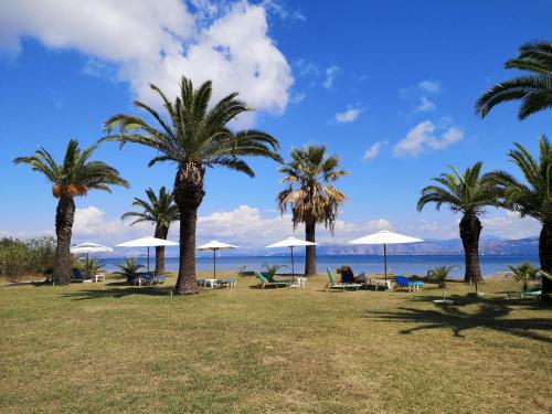 IRINI, Kavos (foto 3)