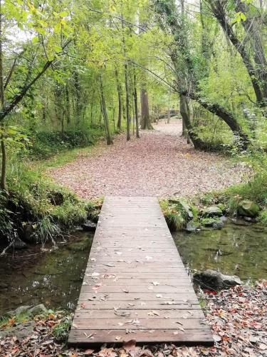 Bližnja okolica, Apartament Natura amb Calma in Sant Cristofol de les Fonts
