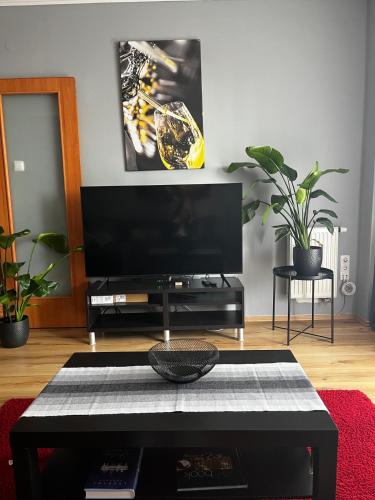 zip's beer b&b - image 12