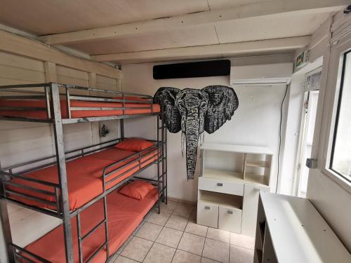 Fredo Hostel