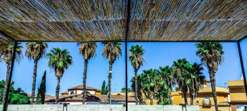 ทัศนียภาพภายนอกโรงแรม, Apartamentos CuatroVigas in เบนาคาซอน