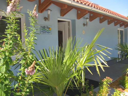 Gyógyfürdő, Villa Rigo Panzio in Verpelét