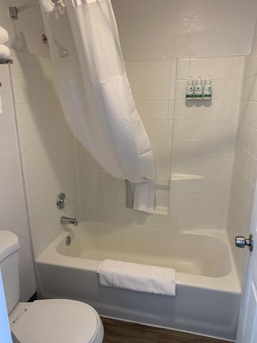 2 queen beds