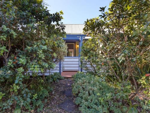 Witts Oasis Two traditional Tea Gardens cottages in 茶園