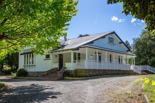 The Forest House photo 2