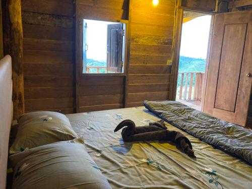 Natural House Farmstay