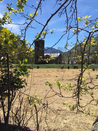 Hotel La Ribera - main image