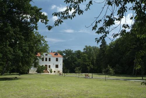 Pałacyk Łąkomin - Accommodation - Lubiszyn