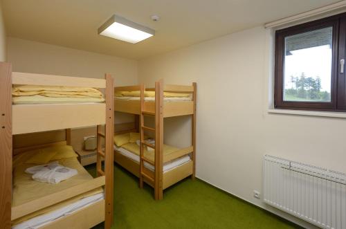 Horský Hotel Friesovy Boudy - image 14